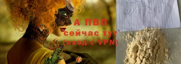 прущие грибы Горно-Алтайск