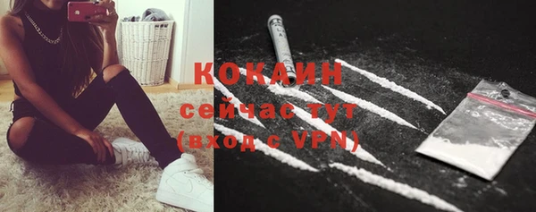 ALPHA PVP Горнозаводск