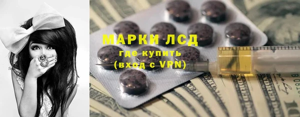 прущие грибы Горно-Алтайск