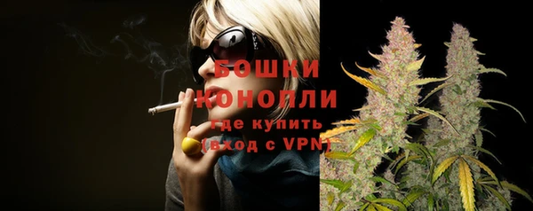 прущие грибы Горно-Алтайск