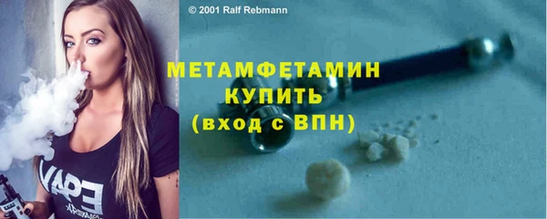 прущие грибы Горно-Алтайск