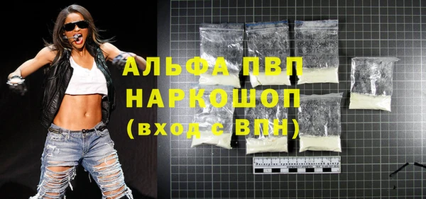 прущие грибы Горно-Алтайск