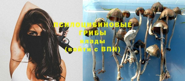 ALPHA PVP Горнозаводск