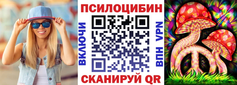 Галлюциногенные грибы Psilocybe  Мценск 